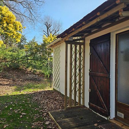 La Petite Maison Du Lac Biscarrosse Kültér fotó