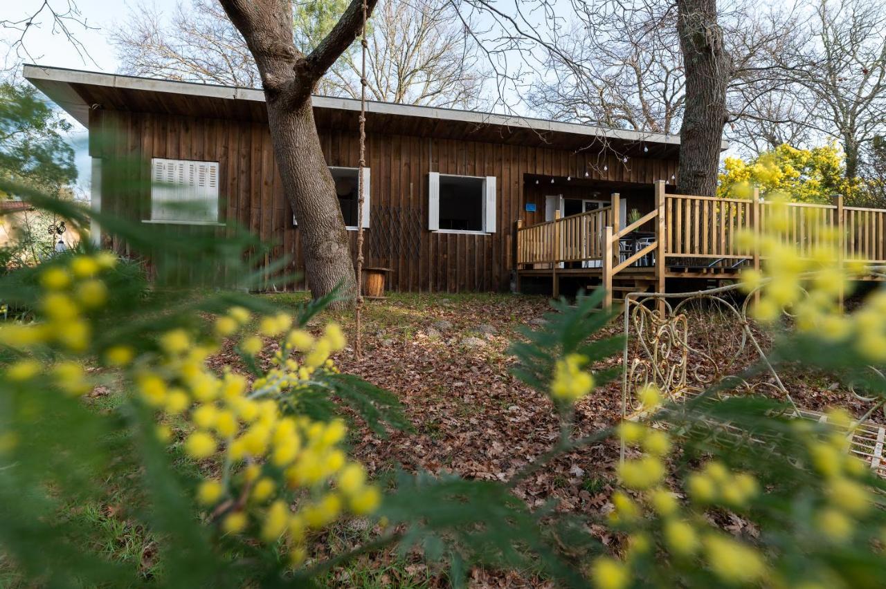 La Petite Maison Du Lac Biscarrosse Kültér fotó